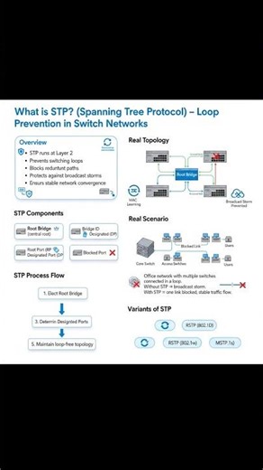 What is STP? Preventing Network Meltdowns! 🛑🔄