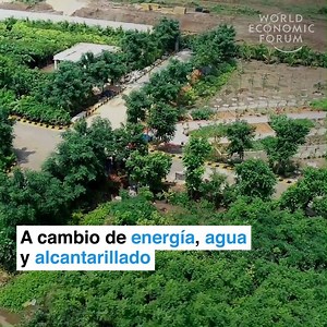 Y está planeando crear casi medio millón de empleos. | Foro Económico Mundial