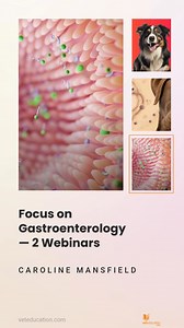  What's New in the Vet Education Member Library!  Ready to learn...