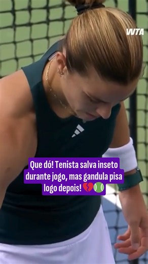 UOL Esporte on Instagram: "Maria Sakkari, ex-número 3 do mundo, parou a partida para salvar um inseto no meio da quadra Mas, poucos segundos depois, o gandula acabou atropelando o bichinho no WTA 500 de Washington 😢🎾 📹WTA/reprodução #uolesporte #tenis #WTA #MariaSakkari"