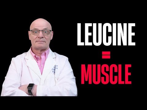 Leucine: The Key Amino Acid for Muscle Growth