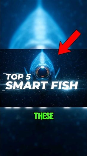 Top 5 Smartest Fish You’ve Never Heard Of (Mind-Blowing) 😱