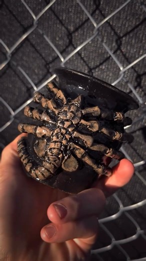 Collector/Lifestyle on Instagram: "“FaceHugger” Custom 𝕯𝖊𝖆𝖙𝖍 Mug hot out the Kiln! . One of the more intricate customs ive done, thrown on the wheel followed by a fully Hand-built FaceHugger to grab your face while sipping that morning brew. Adorned with a tail handle….Excited to pull this out the kiln and send off to a killer home. . Cheers and thanks to everyone who places these insane custom pieces that often challenge my capabilities. . . #ceramic #alien #ceramicpottery #ceramicmug #fan