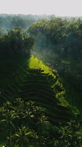 Nature without destruction 😔✖️ #reels #reelitfeelit #nature #explore #aesthetic #beauty #trendingaudio #colours #destruction | NaturePing