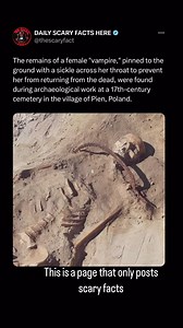 94K views · 336 reactions | During archaeological excavations at a...