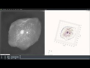 Human Cheek Epithelial Cells