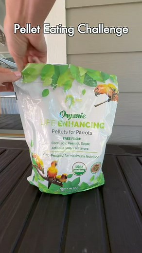 Would you try this with your birds?! Tag me if you do! 🤣 When I tried this with Cressi my grey, none of my flock members would even compete with her! (Aka I couldn’t even get them close!) Need a bag of our pellets to try this with? You can win one! We are hosting a giveaway and will be drawing two winners daily off any orders made on either of our websites! So go go go order! Good luck! And if you’re located outside the US and win, your bag will be donated to rescue birds! | BirdTricks