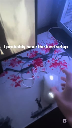 is this the best 18 follower setup #setup #gaming #pc @otx_shinoji