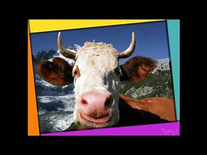 Home On The Range - Yodel Mania! (Swedish) [HD]