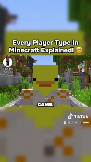 Minecraft Player Types Explained — Every Type (Part 6)