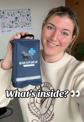 Exploring the Mini First Aid Kit for Dogs