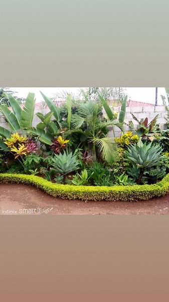 Stellaharrysons (@stellaharrys)’s videos with original sound - Stellaharrysons