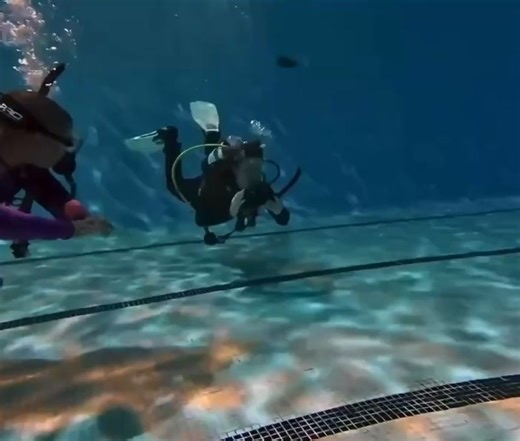 2.6K views · 21 reactions | Fantastic no-mask swim and mask removal skills from Ruby here — very well done! Who’s looking forward to joining us in our next pool or training sessions to master new skills and advance their diving? We’re looking forward to getting stuck into it and seeing our students continue to develop! | Newhaven Scuba Centre | Facebook