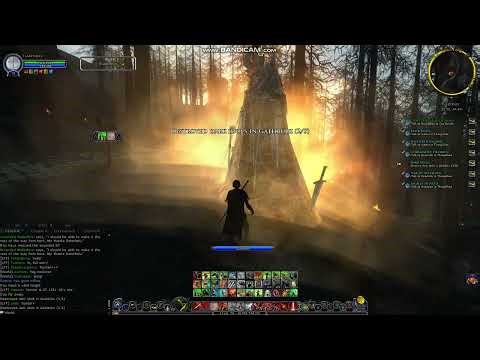 LotRO Red Captain in Mirkwood: saving another Elf, burning idols