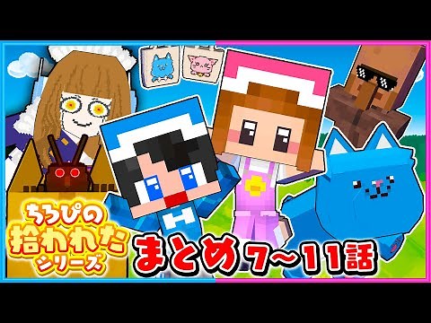 変なやつばっかりのちろぴのマイクラ総集編２【 拾われたちろぴの 】【 マイクラ / Minecraft 】