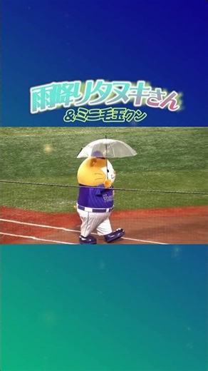 【2025/10/15 横浜スタジアム】雨の中取り残されたミニ毛玉を迎えに行く傘差しスターマンさんが可愛すぎました♪ #shorts