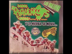 Banda Pequeños Musical 20 exitos de oro CD COMPLETO
