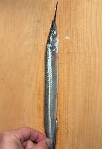 Sayori 2 - Rosanjin Play Performance