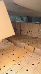 5 envios diferentes de la temporada y celebrando MIs 101kmill seguidores con casi 2 millones de vistas en uno de MIs videos la verdad muy buenas metas emos cuplido y como pueden ver no a muchos les puede parecer 🔥🔥🔥🔥🔥🔥 | Diamond Ranch