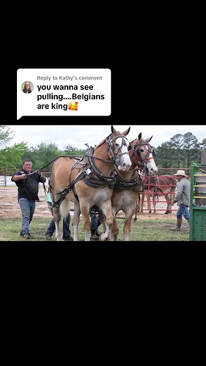 Mules vs. Other Footwear: A Style Comparison