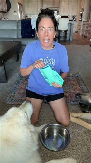 Check out what we use for our dogs gut and breath #tiktokshopmothersday #tiktokshopcreatorpicks