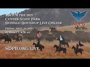 2021 Custer State Park Buffalo Roundup | SDPB
