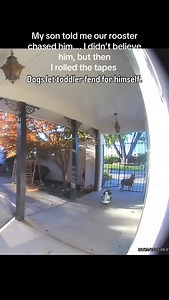 22K views · 4.8K reactions | Some dogs defend the family. Some dogs let the family defend themselves. Which would you prefer? #dogbehavior #kidsanddogs #dogfamily #familydog | Thinking Canine | Facebook