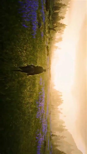 The Most Famous Graphics in Red Dead Redemption 2 – Ultra Realistic Visuals