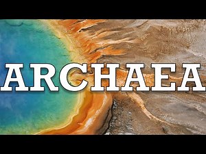 Defining the Limits of Life on Earth