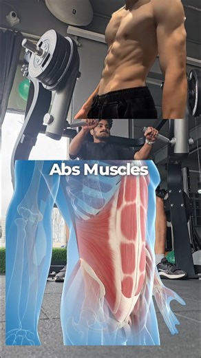 charanreddy_jr on Instagram: "Abs training 101 Training abs is pretty simple just flex the spine Training abs will definitely grow in size how much is what varies for everyone But growth is not much noticeable Give it a try #absworkout"