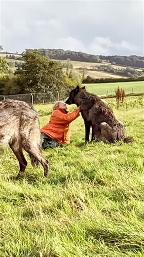 1.5K views · 2.7K reactions | Some people are scared of being...