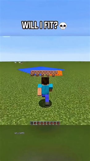 Exploring the Doppler Effect in Waves