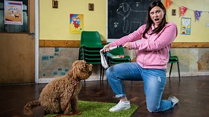 Waffle the Wonder Dog - Series 1: 8. Training Waffle - Signed