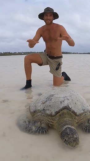 So Many Strandard Turtles🐢😔 | Strick & Fran