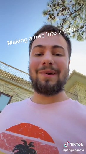 Transform a Tree into a Backyard Pool