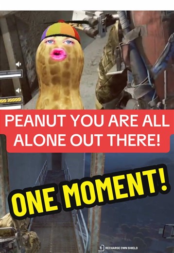 Peanut you’re all alone out there be careful! 😭 but it’s a good thing you’re the Bungulator! 🎬twitch.tv/theburntpeanut @theburntpeanut #theburntpeanutclip #theburntpeanut #theburntpeanutclips #fyp #peanut