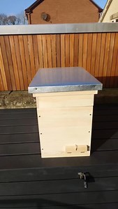 3K views · 10K reactions | The Langstroth Multiplex Hive is HERE and ready for PRE ORDER https://www.abelo.co.uk/shop/frames/multiplex-wooden-mating-hive-langstroth/ | Abelo | Facebook