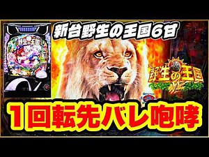 パチンコ新台 【野生の王国6甘デジ】 新台初日全国最速オスイチ1回転先バレ激アツ展開！ 甘デジで爆連が止まらない！ 百獣の王タイム突入！ 遊べる甘を待ってた！ 【PA野生の王国6】