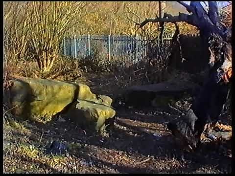 Panasonic NV-M7 VHS Camcorder - Countryside