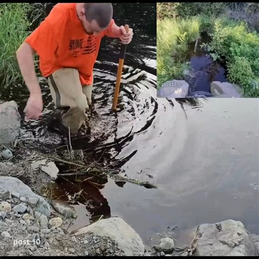 Unclogging Disgusting Beaver Dam Made With Moose Poop | Post10