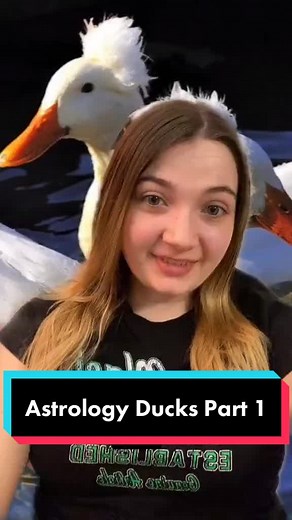 Discover Your Astrology Duck Sign with This Fun TikTok Video!