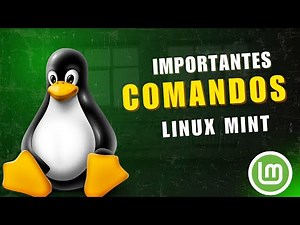 From Beginner to PRO: Essential Linux Commands