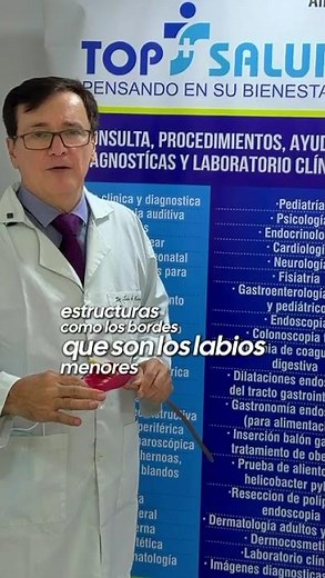 Labioplastia: Qué es, Precio, Recuperación y Resultados | Cirugía Íntima con Ginecólogo Experto