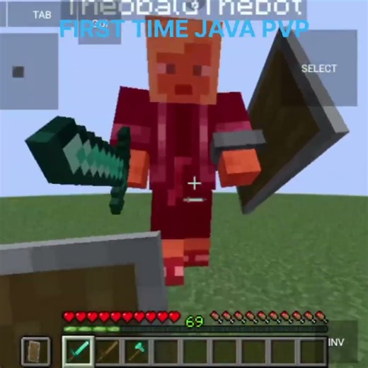 FIRST TIME JAVA PVP