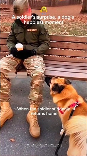 soldier's surprise, to pets#animalvideo #animals surprise #Animal Rescue