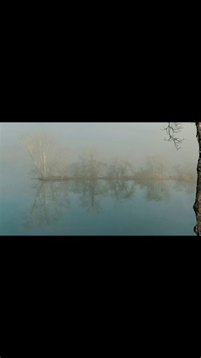 Nerdynature4u (@nerdynature4u)’s videos with original sound - Nerdynature4u