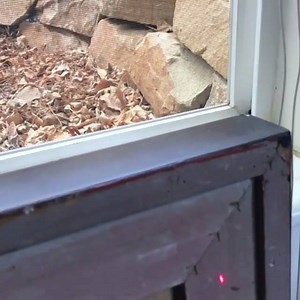 4.8K views · 24 reactions | Great Bug-Beam Kill Shot from Kent Lemon!  Hope y'all had a great weekend! Video by: kentlemonart #bugasalt #bugbeam #laser | Bug-A-Salt | Facebook