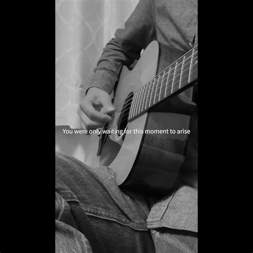 Blackbird – The Beatles Guitar & Vocal Cover