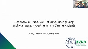 Heat stroke: Not just hot days! Recognising and managing hyperthermia in canine patients
