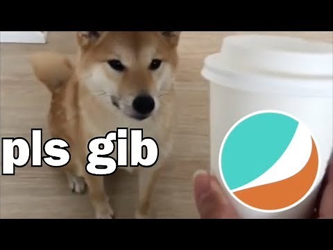 Thirsty doggo needs Bepis